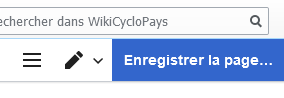 Fichier:Enregistrer nouvelle page.png