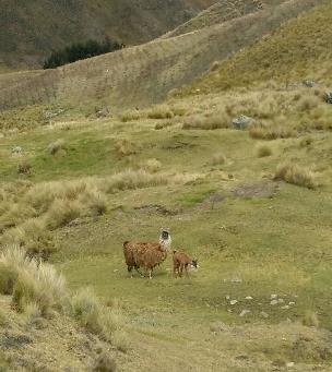 Fichier:Equateur12.jpg