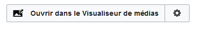 Fichier:Ouvrir dans le visualiseur de médias.png