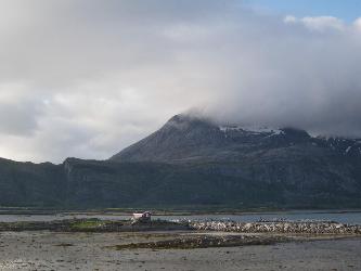 Fichier:Norvège14.jpg