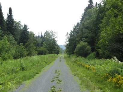 Fichier:Québec 4.jpg