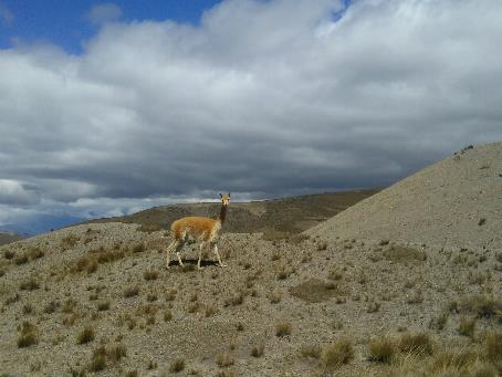 Fichier:Equateur13.jpg