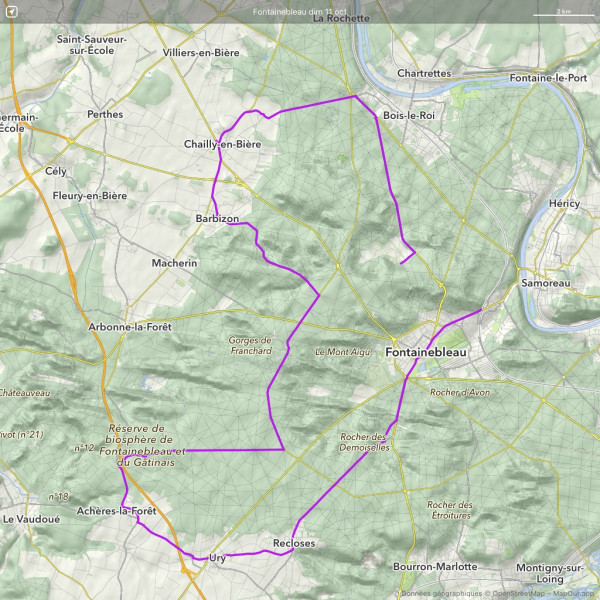 Fichier:Fontainebleau dim 11 oct.jpg