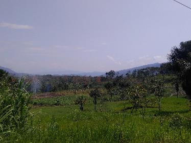Fichier:Equateur30.jpg