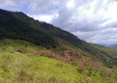 Fichier:Equateur32.jpg
