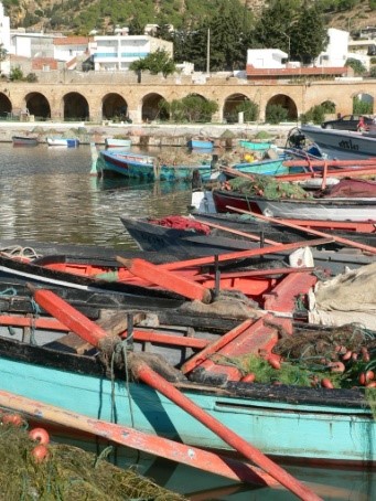 Fichier:Tunisie 6.jpg