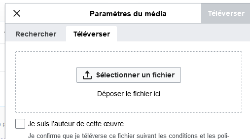 Fichier:Téléverser image.png