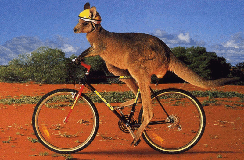 Fichier:Australie 1.png