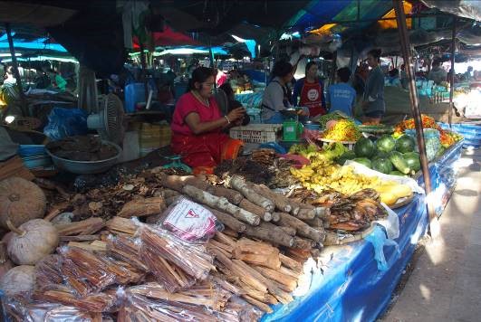 Fichier:Laos 4.jpg