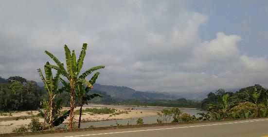 Fichier:Equateur31.jpg