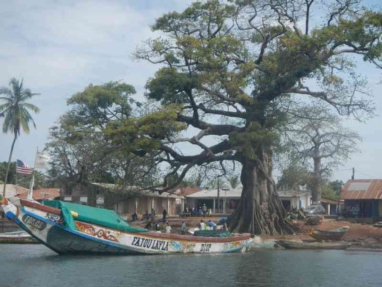 Fichier:Sénégal 3.jpg
